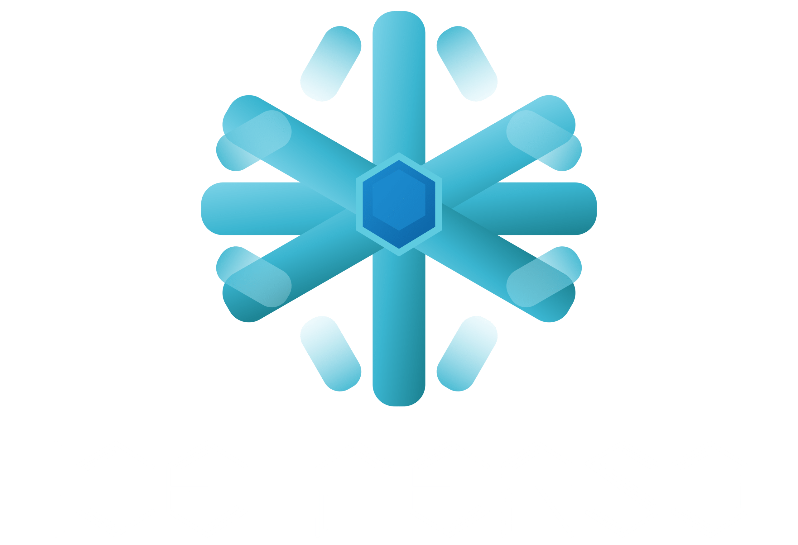 ICE PERSO