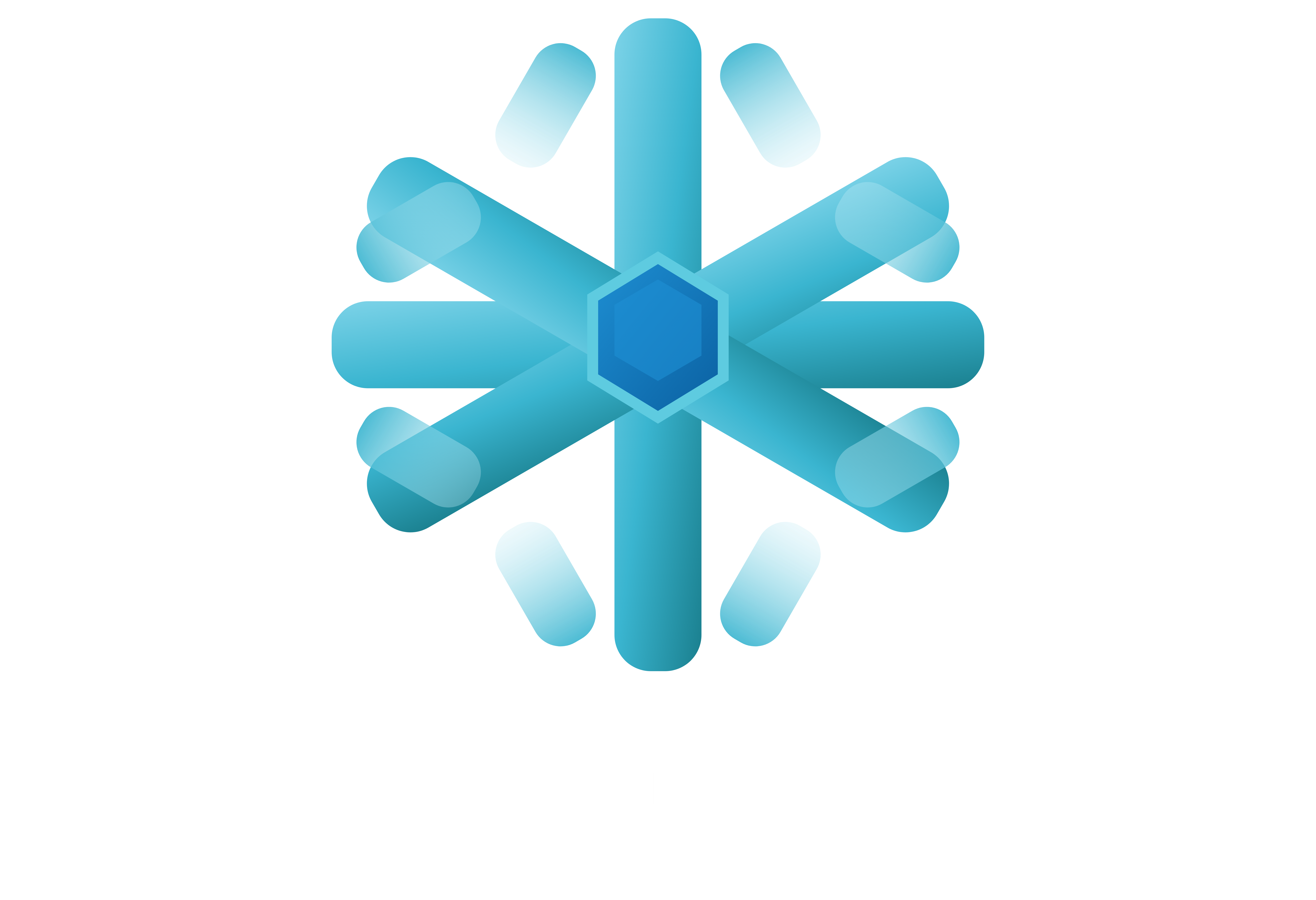 ICE PERSO